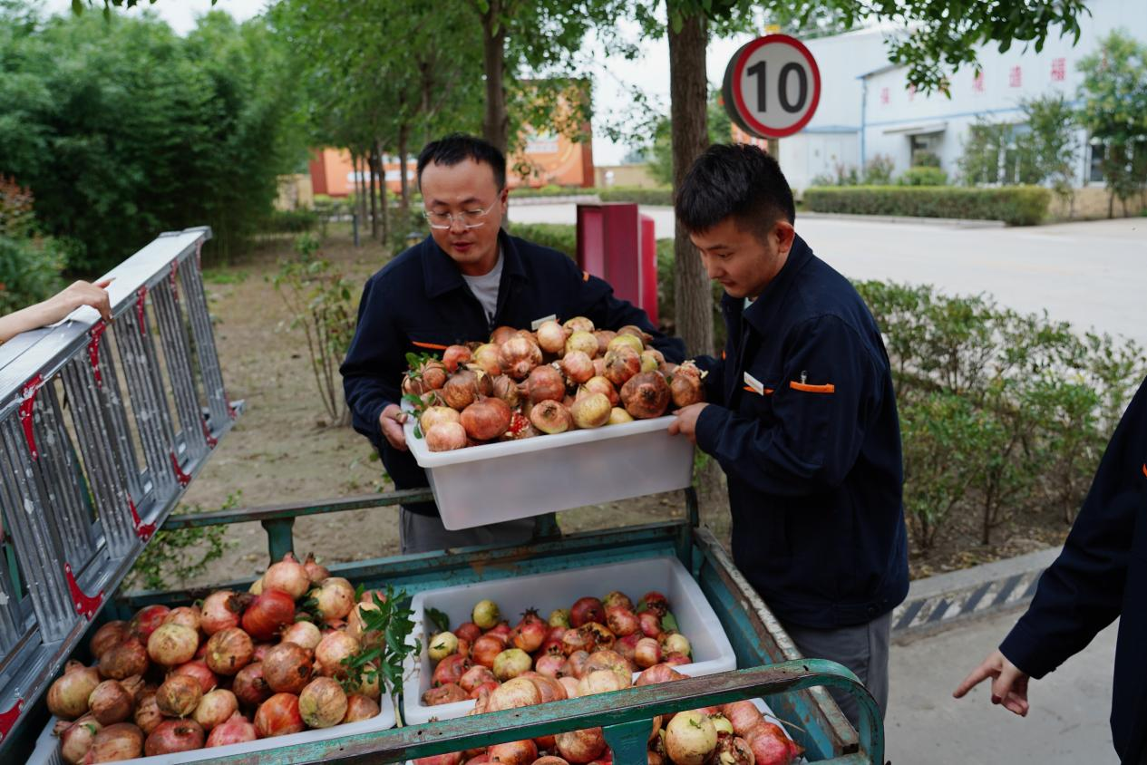 云顶集团4008(中国)官方网站