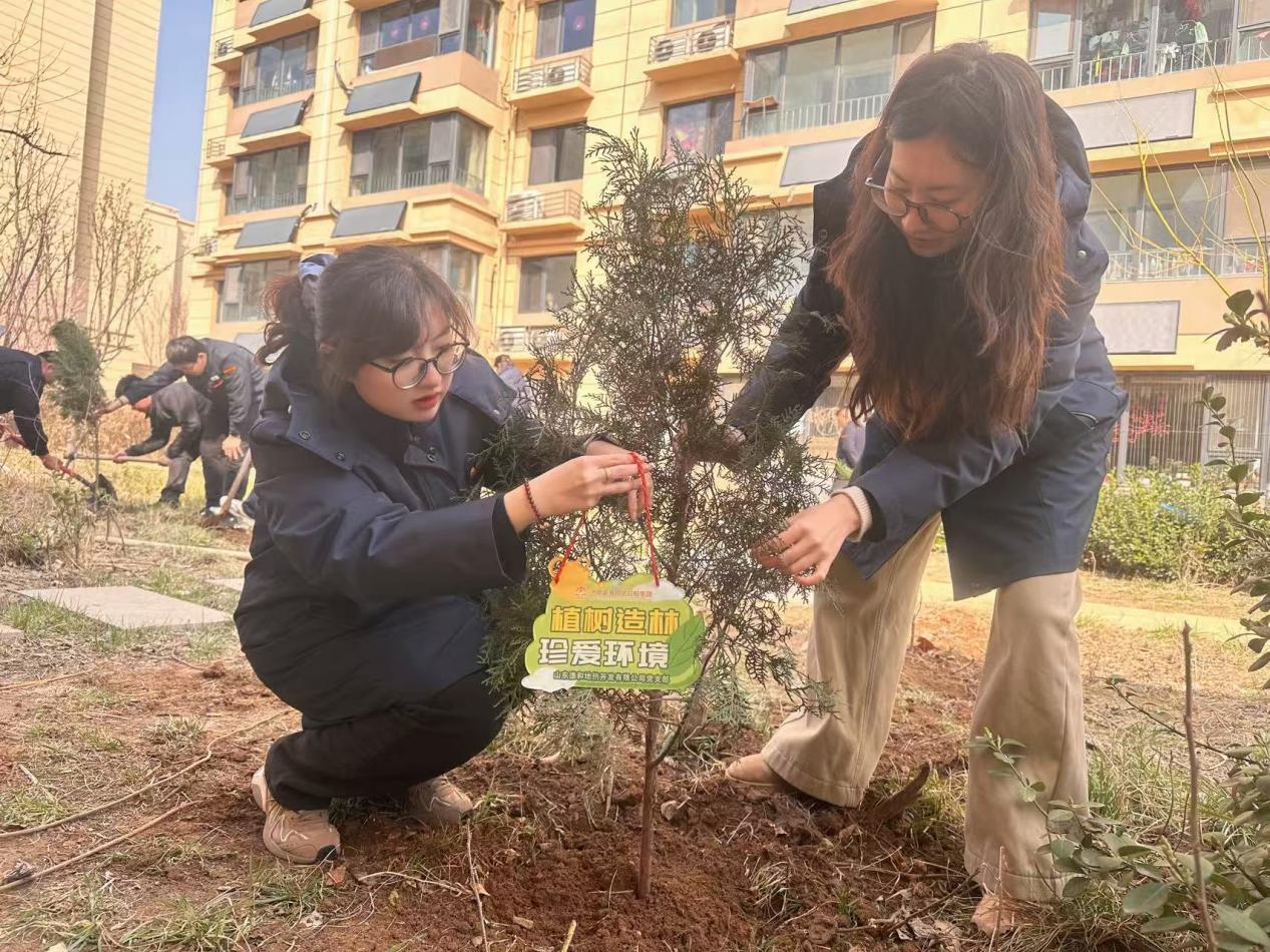 云顶集团4008(中国)官方网站